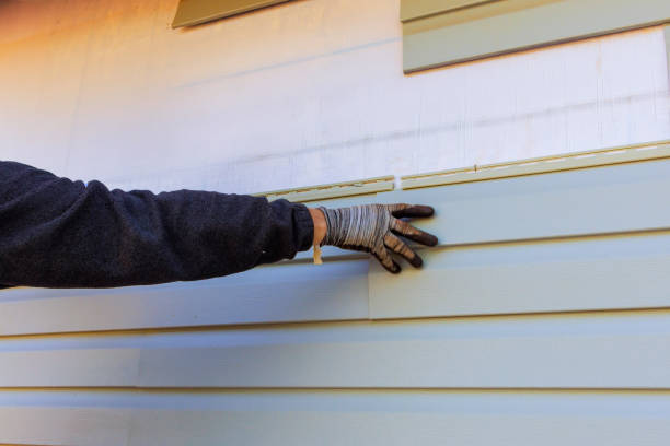 Best Aluminum Siding Installation  in Atlantic Beach, FL